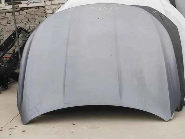 BYD Destroyer 05 Hood OEM Replacement